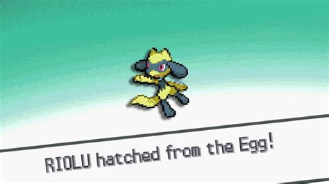 Finding Riolu Eggs