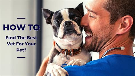 Finding the Best Veterinarian in Deer Park for Your Furry Friend