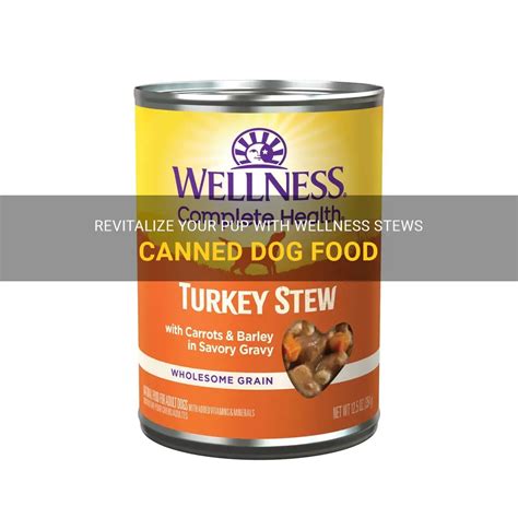 Finding the Healthiest Canned Dog Food for Your Pup