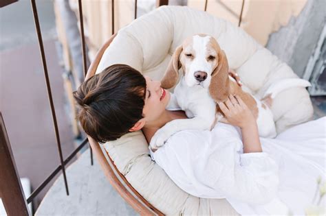 Finding the Perfect Pet-Friendly Hotel