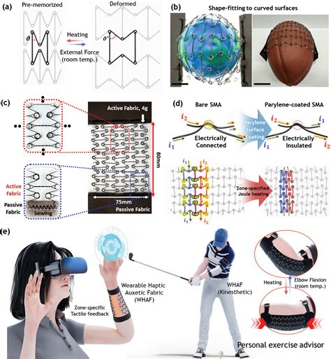 Findomalexx: Unlocking the Potential of Wearable Haptics