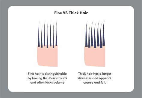 Fine vs Thick Scalp: Understanding the Differences, Benefits, and Impact