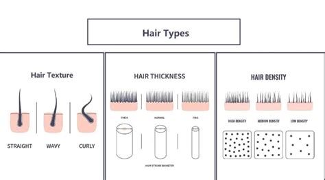 Fine vs. Thick Scalp: Understanding Hair Texture