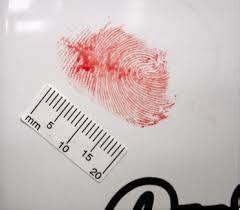 Fingerprints and Impressions Forensic Evidence Epub