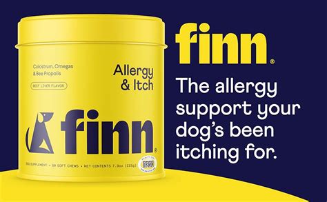 Finn Allergy & Itch: A Common and Uncomfortable Condition