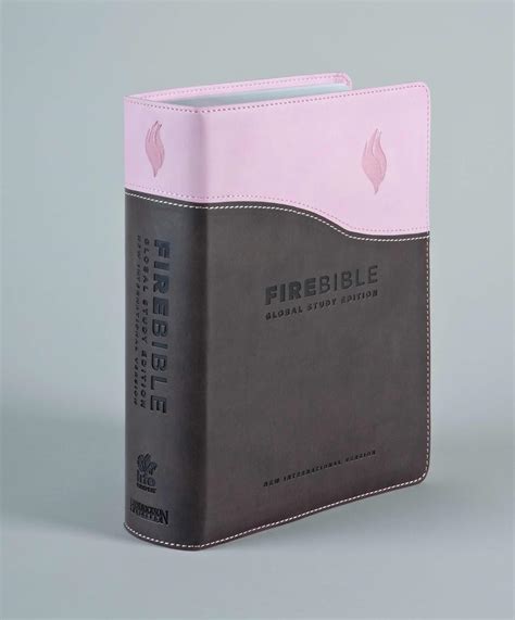 Fire Bible Student Edition: New International Version Gray / Pink Flexisoft Leather Epub