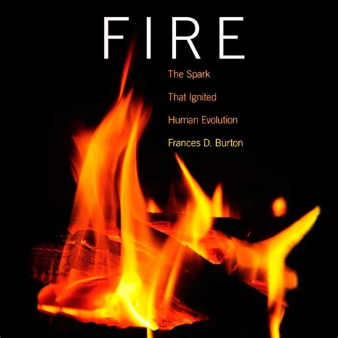 Fire--The Spark That Ignited Human Evolution PDF