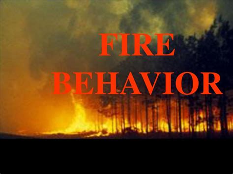 Fires and Human Behaviour Epub