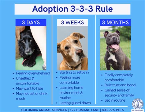 First Adopted: