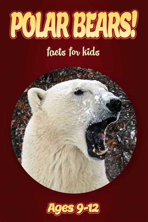 First Day Polar Bear a fun comedy for children ages 9-12