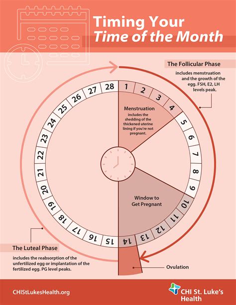 First Day of Last Menstrual Period: A Guide for 2023