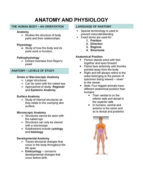 First Studies in Anatomy Physiology Epub