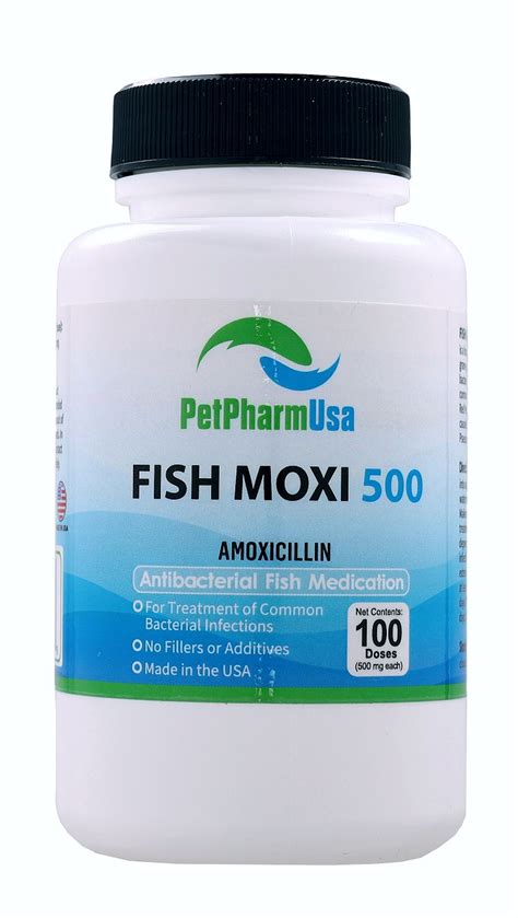 Fish Amoxicillin 500mg: A Comprehensive Guide