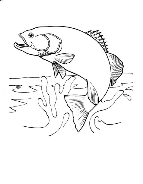 Fish Coloring Pages Printable