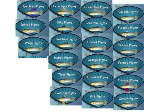 Fish Tycoon Species Chart