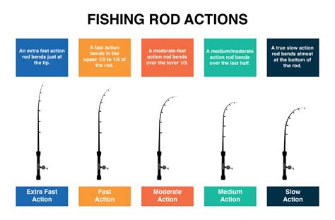Fishing Rod Action Chart