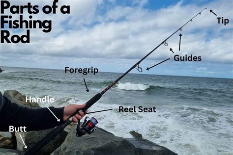 Fishing Rod Black 2: The Angler's Essential Equipment