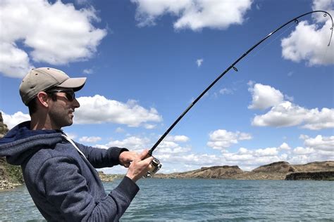 Fishing Rod with Fish: A Catch That's Too Good to Miss