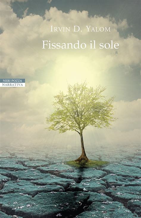 Fissando il sole Italian Edition Kindle Editon