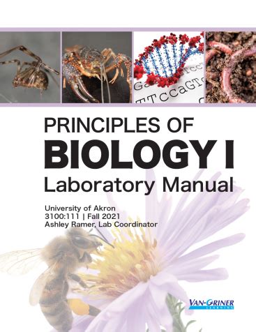 Fiu Biology 1 Lab Ebook Kindle Editon