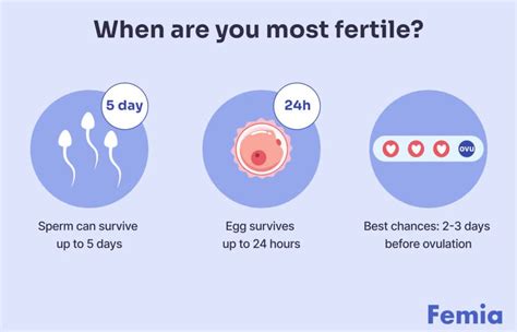 Five Days Inside: A Comprehensive Guide to Spending Extended Periods Indoors