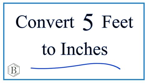 Five Foot One in Inches: Unveiling the Significance and Applications