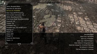 Fix Lag with Mods in Skyrim