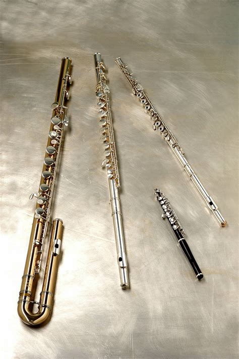 Flûte flûte et flûtes Epub