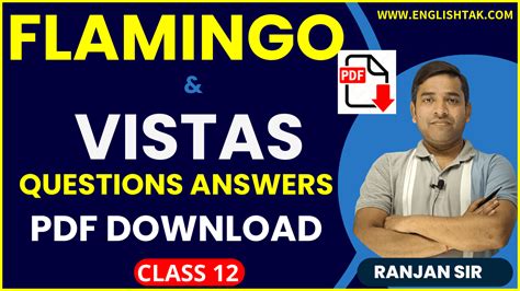 Flamingo And Vistas Answers PDF