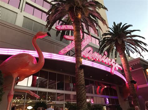 Flamingo Hotel e Cassino