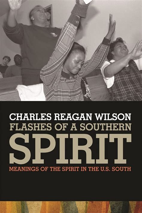 Flashes of a Southern Spirit Meanings of the Spirit in the US South PDF