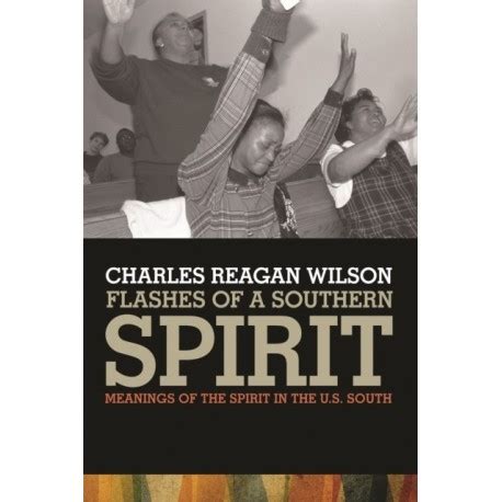 Flashes of a Southern Spirit Meanings of the Spirit in the US South PDF