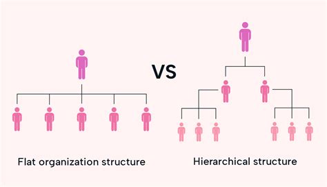 Flat Organization: