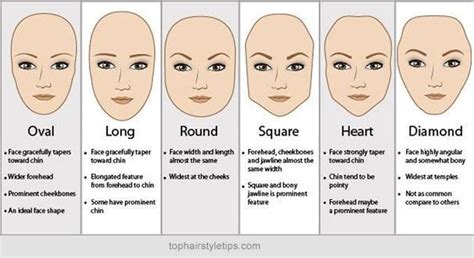 Flatter all face shapes and hair types: