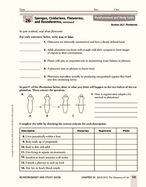 Flatworm Worksheet Answers PDF