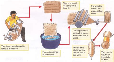 Fleece Production