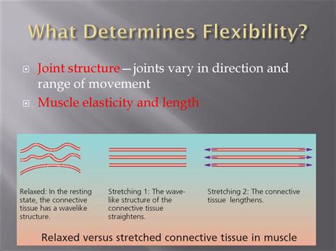 Flexibility and Elasticity: