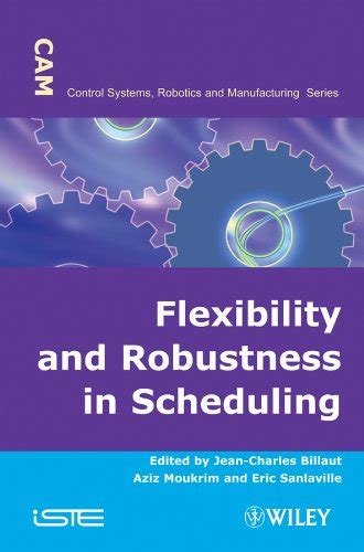 Flexibility and Robustness in Scheduling PDF