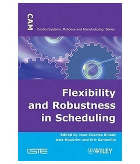 Flexibility and Robustness in Scheduling PDF