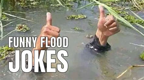 Flooding Memes: A Tide of Humor and Reality