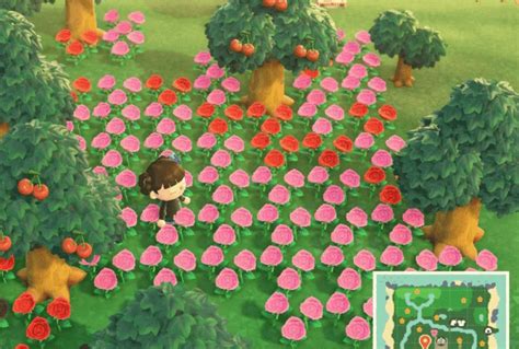 Flora Animal Crossing: The Comprehensive Guide to Nature's Delights