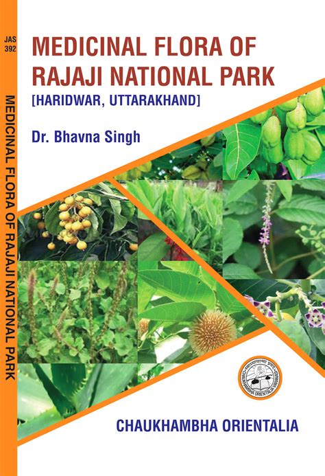 Flora of Rajaji National Park Uttaranchal 1st Edition PDF