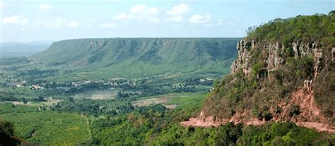 Florestas em Pernambuco: Um Patrimônio Natural Ameaçado