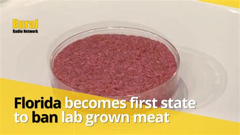 Florida's Ban on Lab-Grown Meat: A Step Back for Innovation