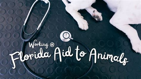 Florida Aid to Animals: A Comprehensive Guide