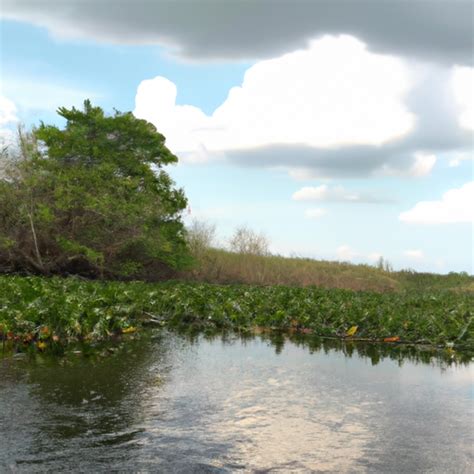 Florida City: A Comprehensive Guide to the Gateway to the Everglades