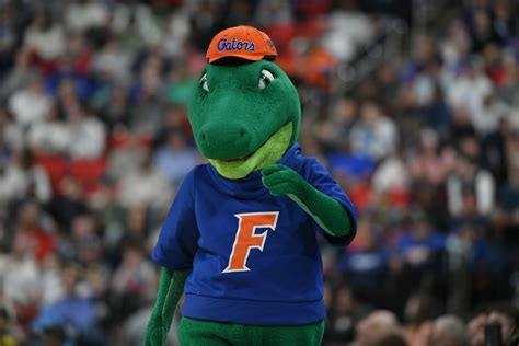 Florida Gators Jersey: The Ultimate Guide to Style and Comfort