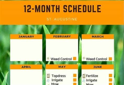 Florida St. Augustine Grass Fertilizer Schedule For All Seasons