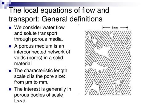 Flow and Transport in Porous Formations PDF