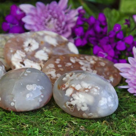 Flower Agate: A Stone of Growth, Healing, and Beauty